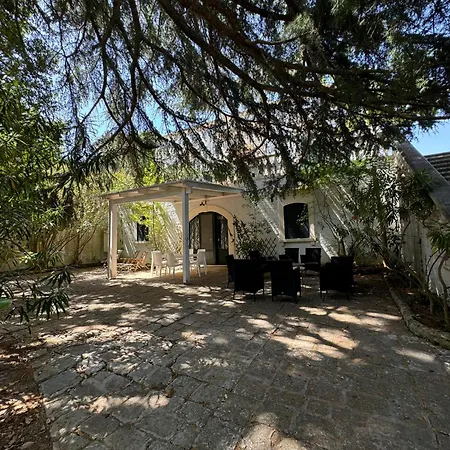 1855, Your Apulian Dream *